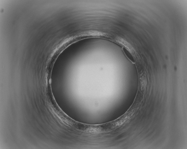 X0000085240350200703231630