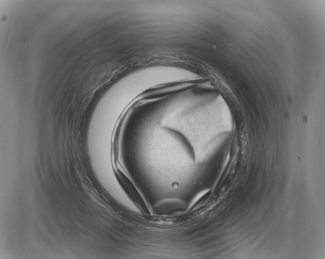 X0000085240362200703231630