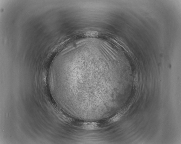 X0000085240363200703231630