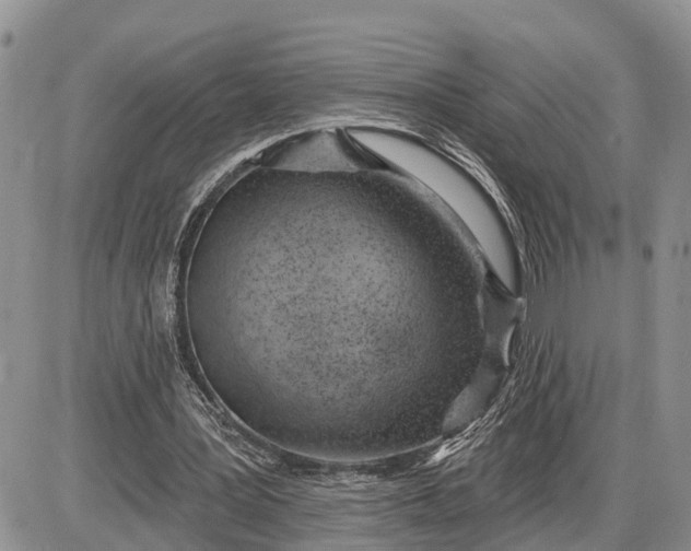 X0000085240387200703231630