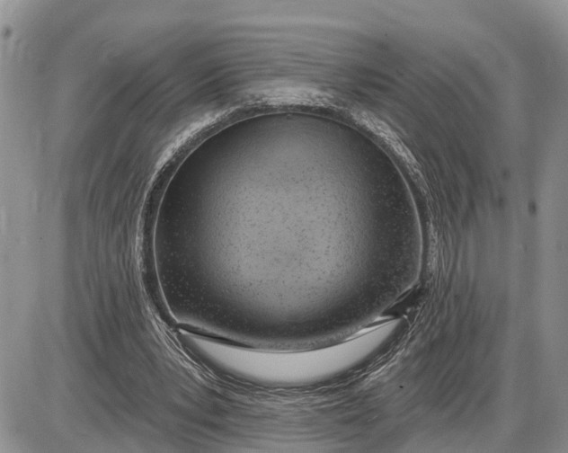 X0000085240391200703231629
