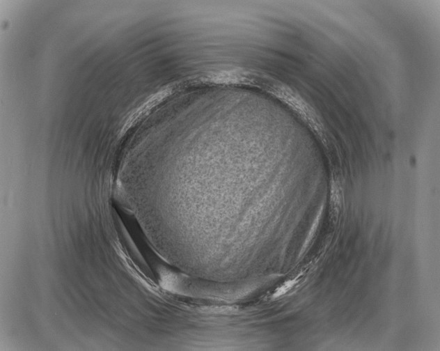 X0000085240397200703231629