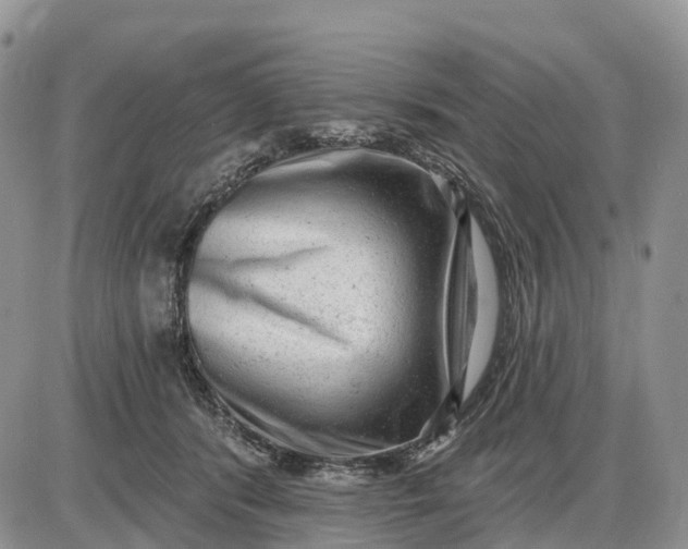 X0000085240416200703231629
