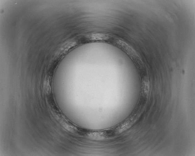 X0000085240422200703231629