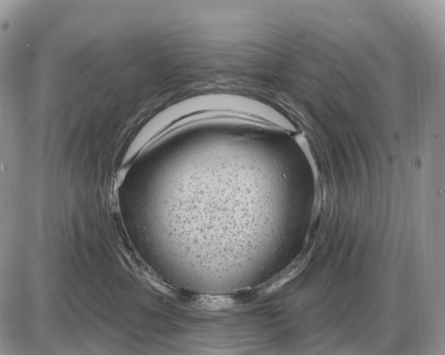 X0000085240429200703231629
