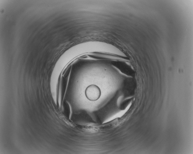 X0000085240432200703231629