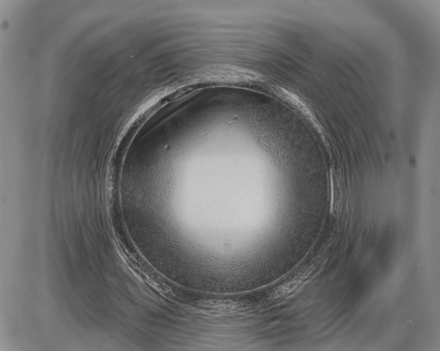 X0000085240435200703231628