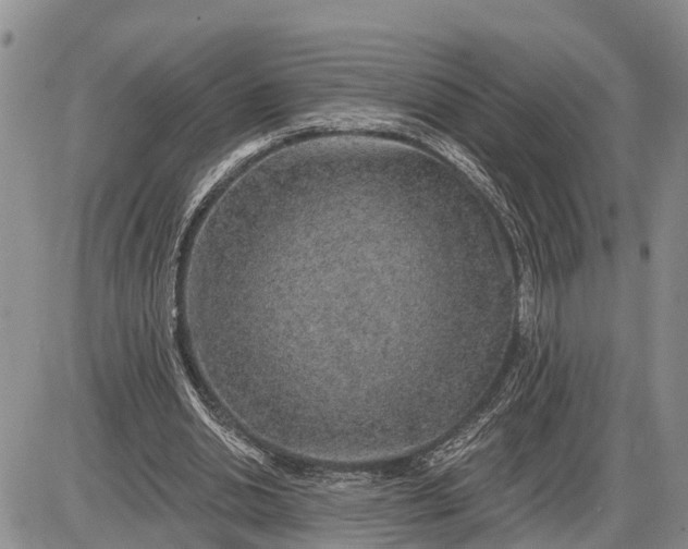 X0000085240438200703231628