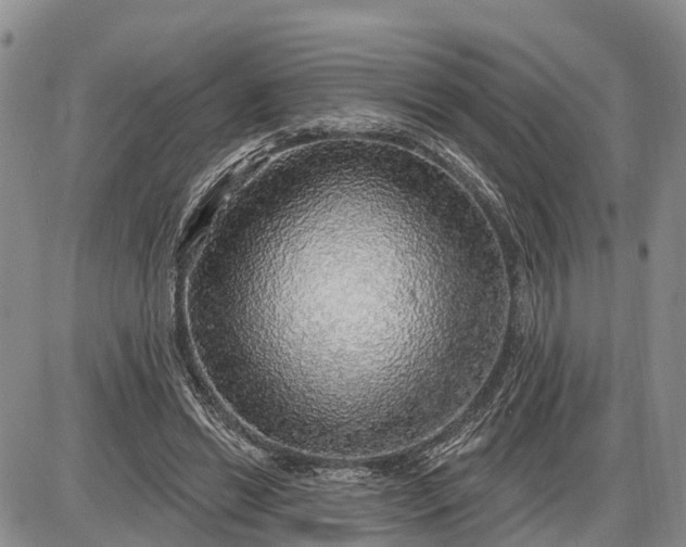 X0000085240446200703231628