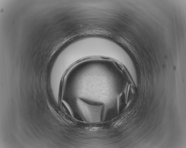 X0000085240448200703231628