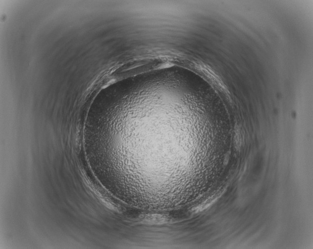 X0000085240449200703231628