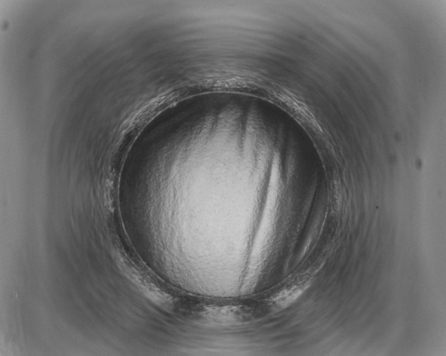 X0000085240450200703231628
