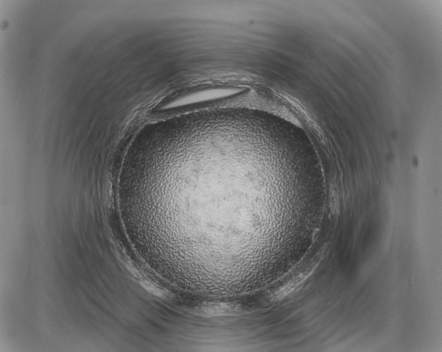 X0000085240453200703231628