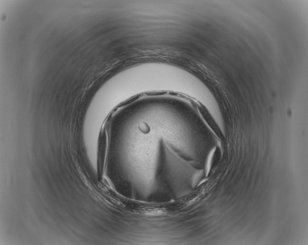 X0000085240456200703231628