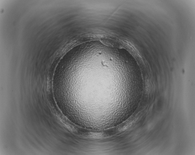 X0000085240457200703231628