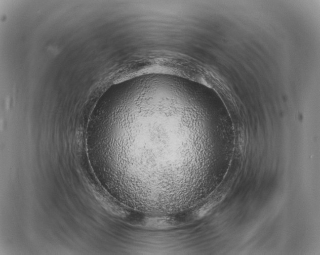 X0000085240461200703231628