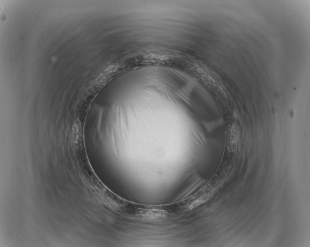X0000085240463200703231629