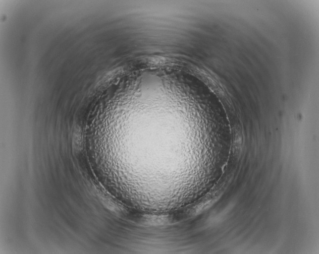 X0000085240469200703231629