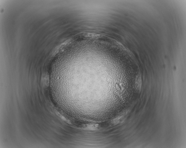 X0000085240474200703231629