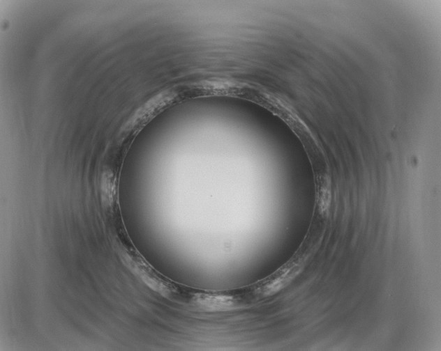 X0000085240476200703231629