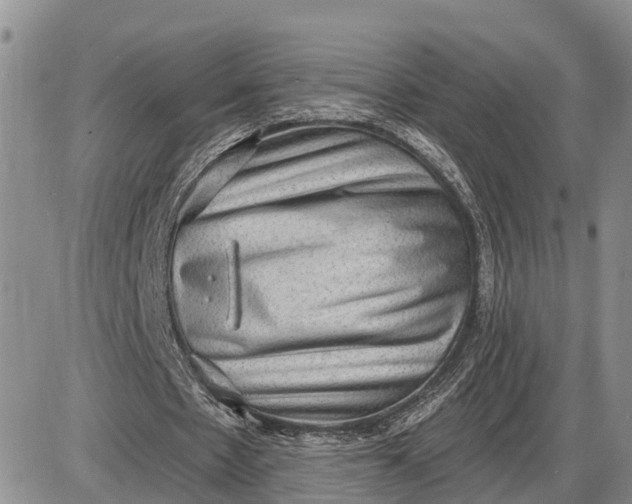 X0000085240481200703231628