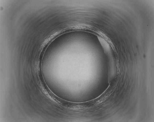 X0000085240485200703231628