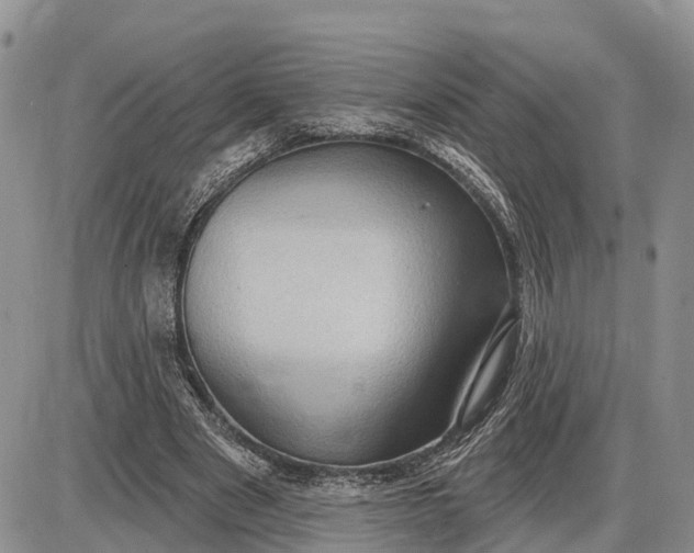 X0000085240489200703231628