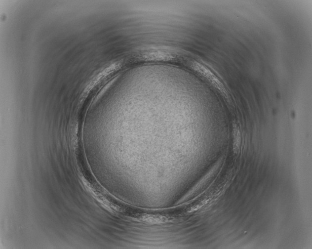 X0000085240490200703231628