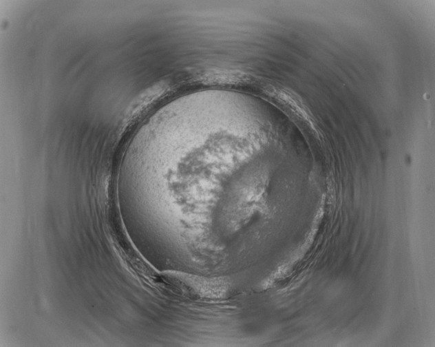X0000085240491200703231628