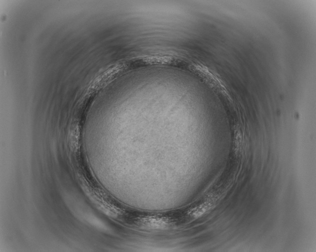 X0000085240498200703231628