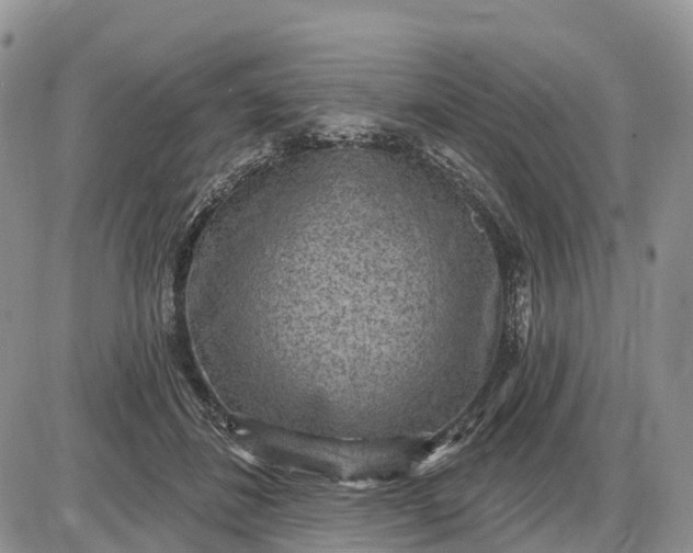 X0000085240508200703231628