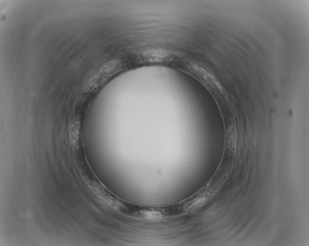 X0000085240509200703231628