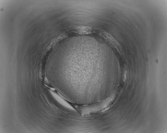 X0000085240512200703231627