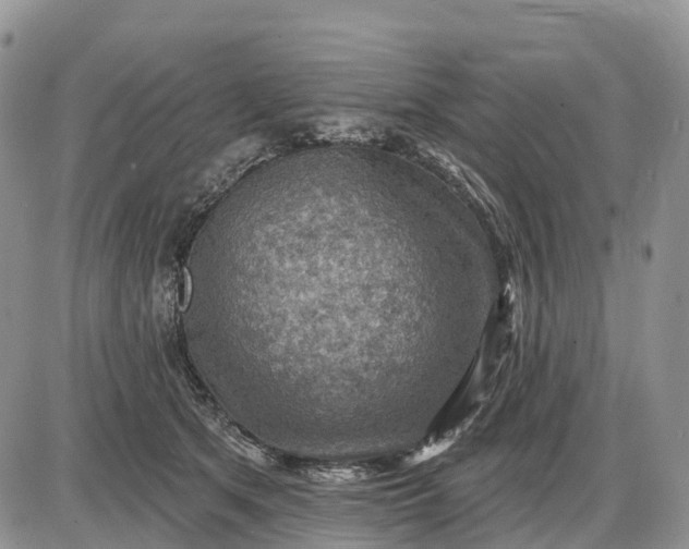 X0000085240513200703231627
