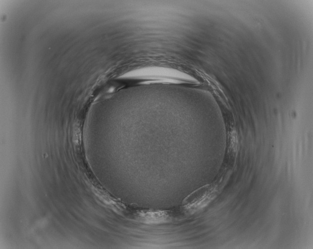 X0000085240517200703231627