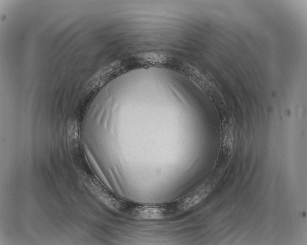 X0000085240518200703231627