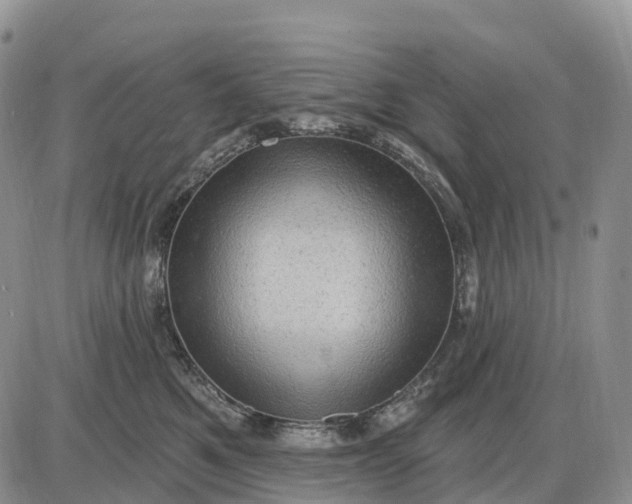X0000085240521200703231627