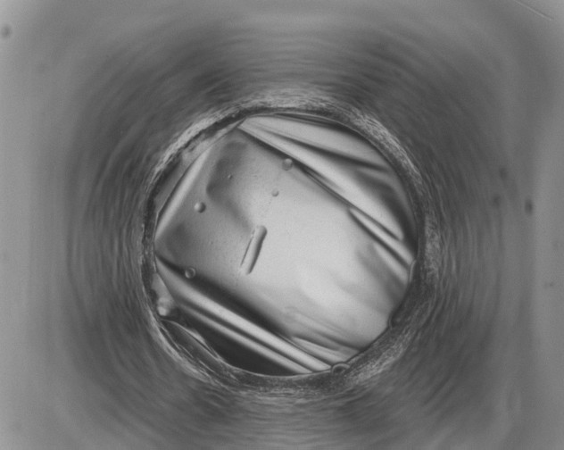 X0000085240530200703231626