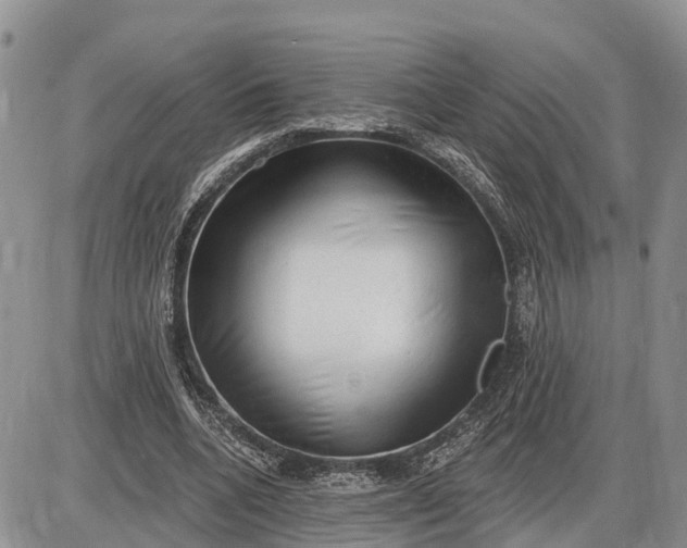 X0000085240536200703231627