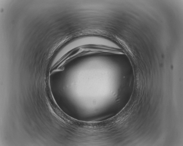 X0000085240538200703231627