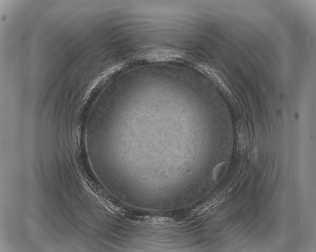 X0000085240539200703231627