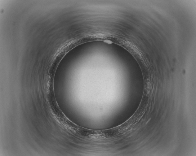 X0000085240544200703231627