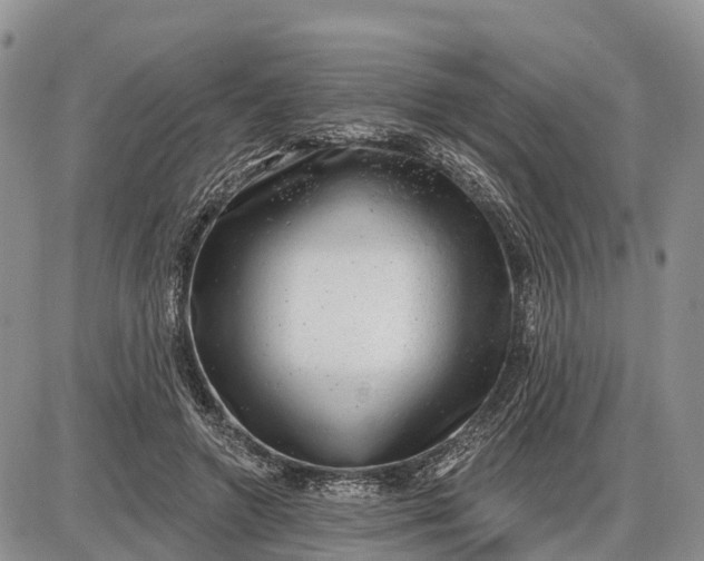 X0000085240546200703231627