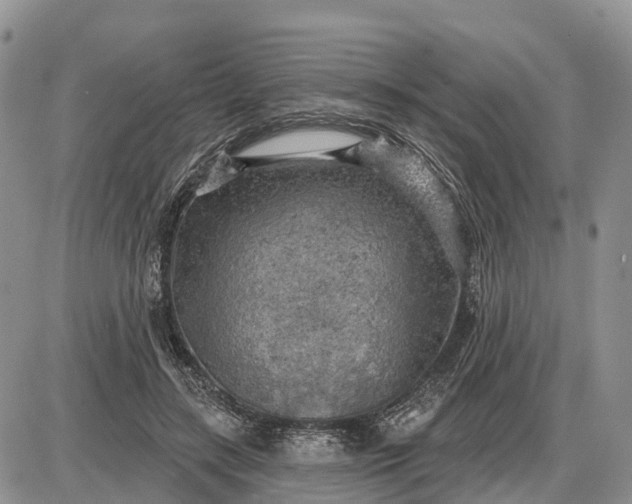 X0000085240547200703231627