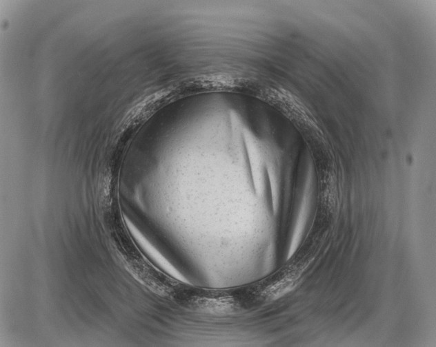 X0000085240548200703231627