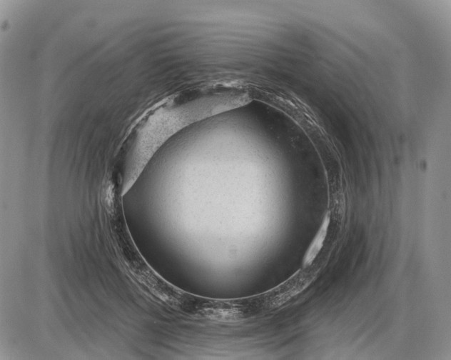 X0000085240552200703231627