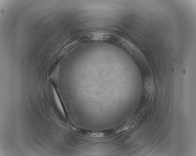 X0000085240554200703231627
