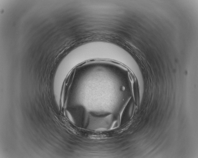 X0000085240556200703231627