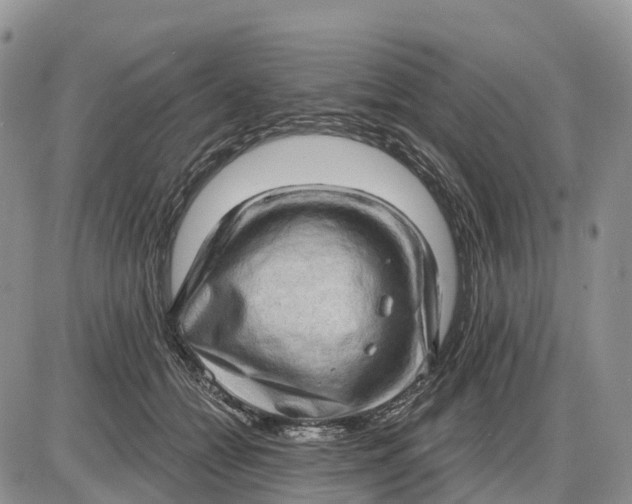 X0000085240558200703231627