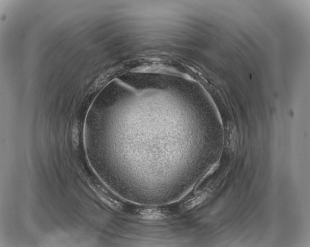 X0000085240562200703231627